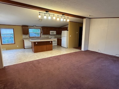 967 Ten Mile Rd, New Martinsville, WV 26155 - photo 4