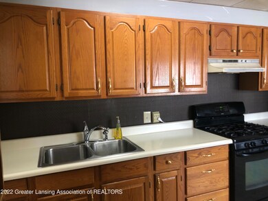 5027 Delbrook Ave, Lansing, MI 48910 - photo 7