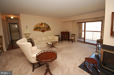 5833 Cove Landing Rd unit 302, Burke, VA 22015 - photo 4