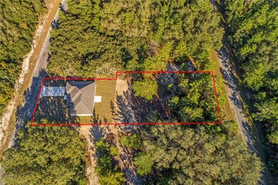 4 Fisher Trace, Ocklawaha, FL 32179 - photo 3