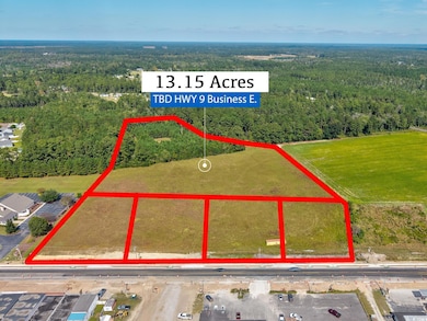 TBD S Carolina 9 Business unit 13.15 Acres, Loris, SC 29569 - photo 6