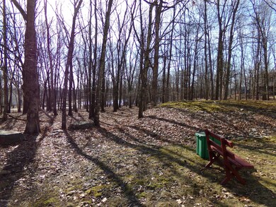 1208 Bluebird Ln, Bushkill, PA 18324 - photo 4