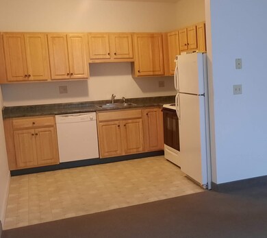 486 Nashua St unit 114, Milford, NH 03055 - photo 4