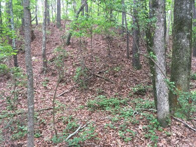 Interior woods