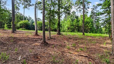 532 Great Oak Way, Seneca, SC 29672 - photo 7