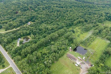 0000 Birch Run Rd, Arbela Township, MI - photo 5