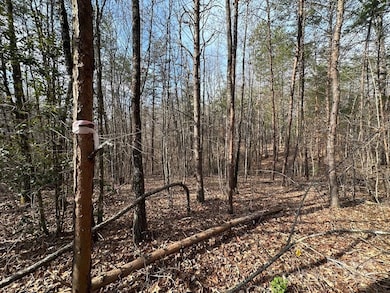 0 Sunshine Acres unit CAR4228639, Sylva, NC 28779 - photo 6