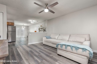 11502 Rock Bass Ct, Louisville, KY 40241 - photo 5