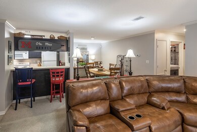 1008 Private Road 3057, Oxford, MS 38655 - photo 5