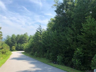 101 Balsamwood Rd unit 32, Leicester, NC 28748 - photo 2