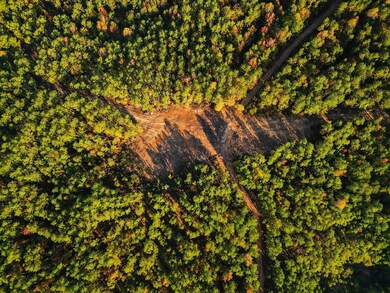 0 Burnine Rd, Lexington, TN 38351 - photo 4