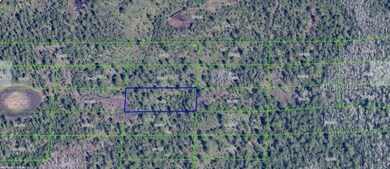 0 Dill Rd unit MFRO6247900, Orlando, FL 32820 - photo 2