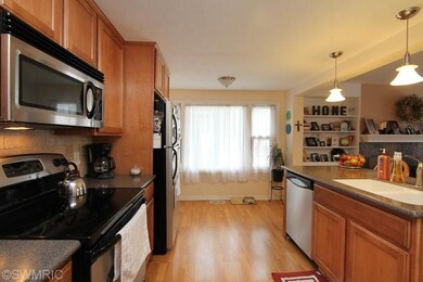 224 N Hudson St, Lowell, MI 49331 - photo 6