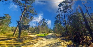 Lot 140-141 Petty Dr, Conroe, TX 77306 - photo 2