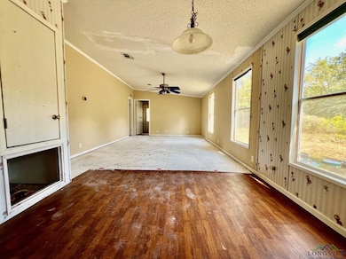 917 Rd, Kilgore, TX 75662 - photo 4