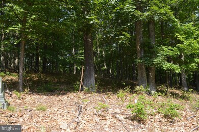 26 Twin Lakes Dr, Berkeley Springs, WV 25411 - photo 3