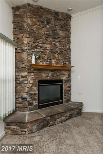 4501 Dunton Terrace unit R, Perry Hall, MD 21128 - photo 5