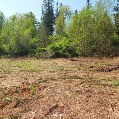 unlisted-address, Stanwood, WA 98292 - photo 3