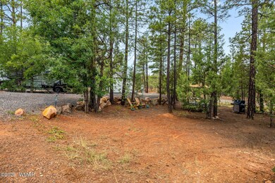 3750MuleSkinnerLoop-ShowLow-AZ-4