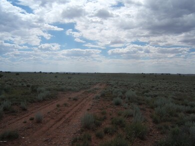 8538 Terry Trail 006