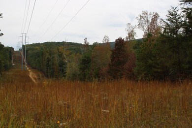 0 Reo Rd unit 1397443, Rocky Face, GA 30740 - photo 4