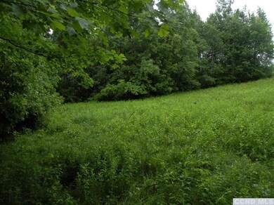 0 Maple Dr, Canaan, NY 12060 - photo 4