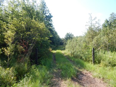 0 E Hayes Rd, Ashley, MI 48806 - photo 3