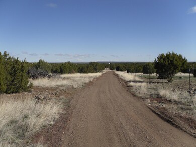 LOT G Powells Ln, Show Low, AZ 85901 - photo 7