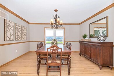 4847 Cap Stine Rd, Frederick, MD 21703 - photo 7