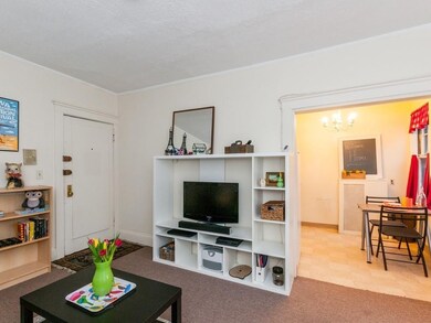 Sutherland Village unit 3, Brighton, MA 02135 - photo 5