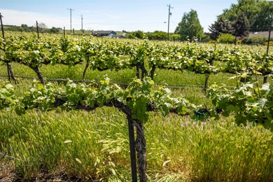 TBD Wilson Hwy, Grandview, WA 98930 - photo 7