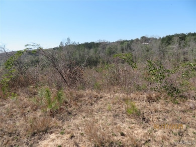 0 Old Salem Rd, Enterprise, AL 36330 - photo 3