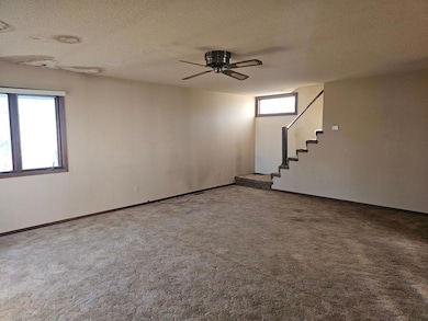 415 Central Ave, Madison, MN 56256 - photo 2