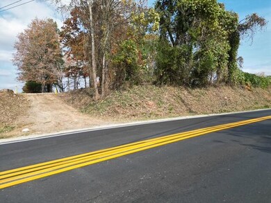 1353 Old Franklin Turnpike, Rocky Mount, VA 24151 - photo 5