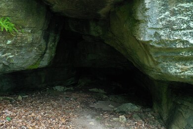 2065 Woods Prong Rd, Linden, TN 37096 - photo 6