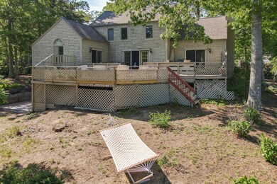 Photo_6685404