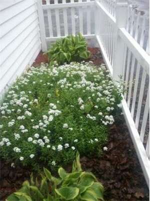 4 Mechanic St, Beverly, MA 01915 - photo 2