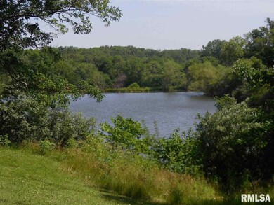 2341 State Highway 78 N, Jacksonville, IL 62650 - photo 2