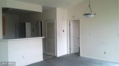 7113 Sandown Cir unit 302, Windsor Mill, MD 21244 - photo 5