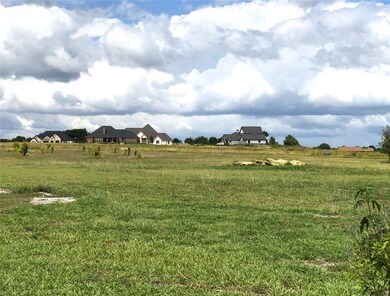 View towards north-west portion of the property