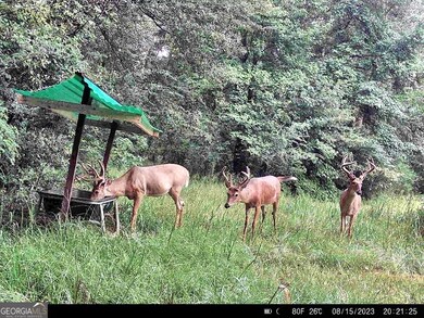 0 River Ln unit 10577862, Juliette, GA 31046 - photo 6