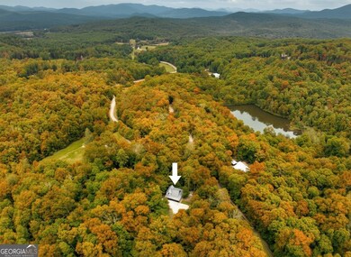 100 Black Oaks Rd, Cherry Log, GA 30522 - photo 5