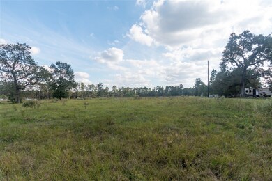 16603 Butera Rd, Magnolia, TX 77355 - photo 5