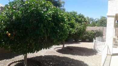 20160420_105616_resized