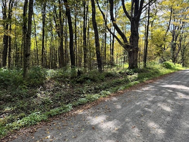 1.5 Graham Rd unit 5, Smyrna, NY 13464 - photo 7