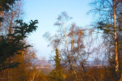 Hazy today; Views could be incredible.