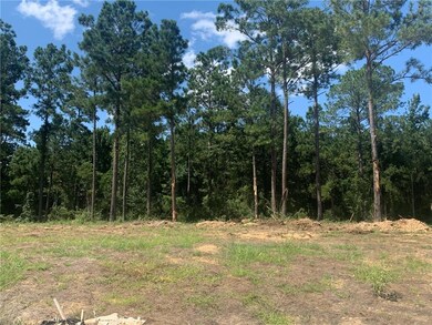 4495 Hathern Dr, Pineville, LA 71360 - photo 2