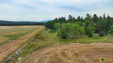 0 Farm To Market unit 25712614, Whitefish, MT 59937 - photo 5