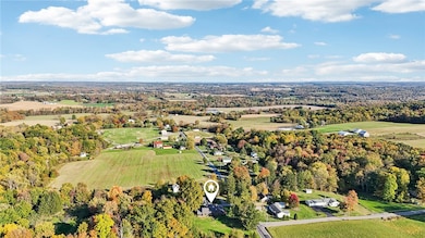 557 Wilson Mill Rd, New Wilmington, PA 16142 - photo 4