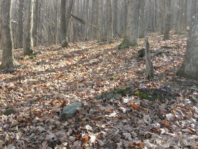 Semi Wooded tract: This property features a variet